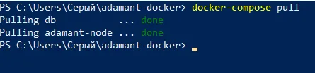 Как запустить ваш ADAMANT-нод на Docker (Windows или Mac)