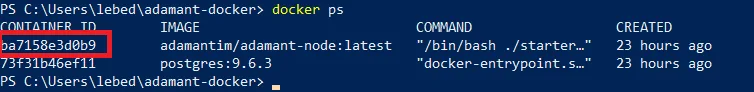 Как запустить ваш ADAMANT-нод на Docker (Windows или Mac)